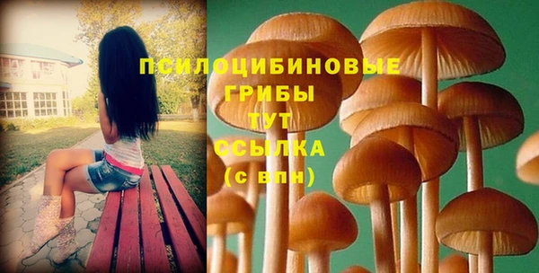 амф Нефтегорск