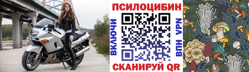 Купить  Дальнереченск  Псилоцибиновые грибы мицелий 